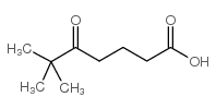 6,6-dimethyl-5-oxoheptanoic acid Structure