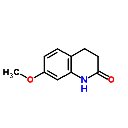 7-Methoxy-3,4-dihydro-2(1H)-quinolinone Structure
