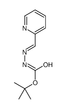 2-(吡啶-2-基亚甲基)肼甲酸叔丁酯结构式