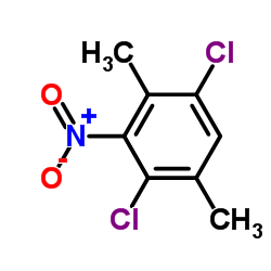 1,4-二氯-2,5-二甲基-3-硝基苯结构式