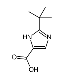 (9ci)-2-(1,1-二甲基乙基)-1H-咪唑-4-羧酸结构式
