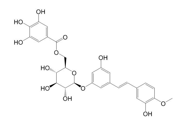 Rhaponticin 6′′-O-gallate结构式