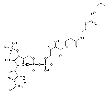 S-[2-[3-[[4-[[[(2R,3S,4R,5R)-5-(6-aminopurin-9-yl)-4-hydroxy-3-phosphonooxyoxolan-2-yl]methoxy-hydroxyphosphoryl]oxy-hydroxyphosphoryl]oxy-2-hydroxy-3,3-dimethylbutanoyl]amino]propanoylamino]ethyl] hex-2-enethioate Structure