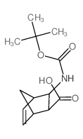 3-({[(2-甲基-2-丙基)氧基]羰基}氨基)双环[2.2.1]庚-5-烯-2-羧酸结构式