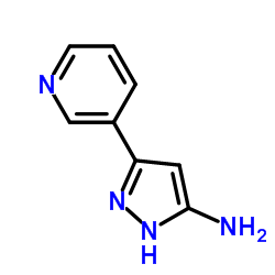 3-(3-Pyridinyl)-1H-pyrazol-5-amine Structure