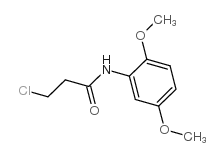 3-chloro-N-(2,5-dimethoxyphenyl)propanamide Structure