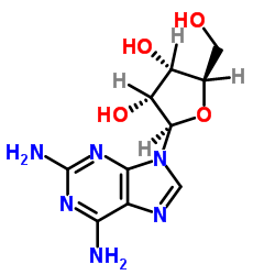 2-氨基腺嘌呤核苷图片