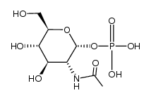 GlcNAc-1-P Structure