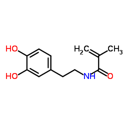 N-[2-(3,4-Dihydroxyphenyl)ethyl]-2-methyl-2-Propenamide Structure