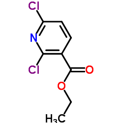2,6-二氯烟酸乙酯图片