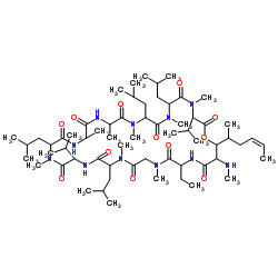 Isocyclosporin A structure