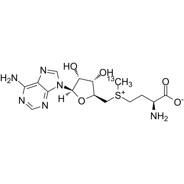 S-腺苷-L-蛋氨酸-13C结构式