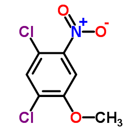 1,5-二氯-2-甲氧基-4-硝基苯结构式