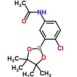 N-(4-Chloro-3-(4,4,5,5-tetramethyl-1,3,2-dioxaborolan-2-yl)phenyl)acetamide picture