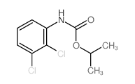 Carbamic acid,(2,3-dichlorophenyl)-, 1-methylethyl ester (9CI) picture