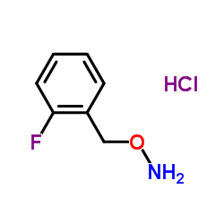 1-[(AMMONIOOXY)METHYL]-2-FLUOROBENZENE CHLORIDE structure