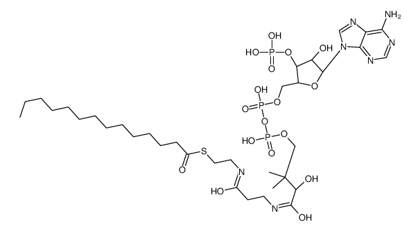 Myristoyl Coenzyme A Structure