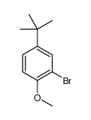 2-溴-4-叔丁基苯甲醚结构式