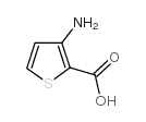 3-氨基-2-噻吩甲酸结构式