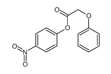 (4-nitrophenyl) 2-phenoxyacetate结构式