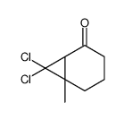 7,7-dichloro-6-methylbicyclo[4.1.0]heptan-2-one结构式