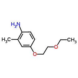 4-(2-Ethoxyethoxy)-2-methylaniline结构式