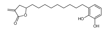 5-[9-(2,3-dihydroxyphenyl)nonyl]-3-methylideneoxolan-2-one structure