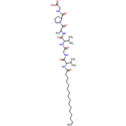 棕榈酰六肽-12结构式