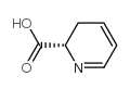 2-Pyridinecarboxylicacid,2,3-dihydro-,(S)-(9CI) structure