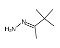 tert-butyl-methyl-hydrazone Structure