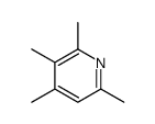 2,3,4,6-tetramethylpyridine结构式