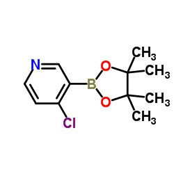 4-Chloropyridine-3-boronic acid pinacol ester Structure