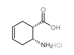 (1S,2R)-(-)-2-Amino-1-cyclohex-4-enecarboxylic acid hydrochloride结构式