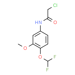 2-CHLORO-N-(4-DIFLUOROMETHOXY-3-METHOXY-PHENYL)-ACETAMIDE Structure