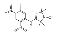 3-(5-fluoro-2,4-dinitroanilino)-1-oxyl-2,2,5,5-tetramethyl-3-pyrrolidine结构式