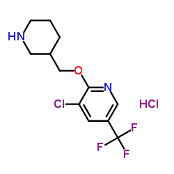 3-Chloro-2-(3-piperidinylmethoxy)-5-(trifluoromethyl)pyridine hydrochloride (1:1) Structure
