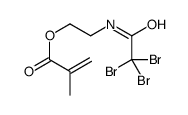 2-[(2,2,2-tribromoacetyl)amino]ethyl 2-methylprop-2-enoate Structure