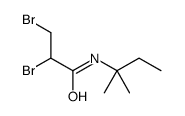 2,3-dibromo-N-(2-methylbutan-2-yl)propanamide Structure