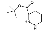 (S)-哌嗪-3-羧酸叔丁酯结构式