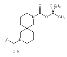 2-(1-甲基乙基)-2,8-二氮杂螺[4.5]癸烷-8-羧酸 1,1-二甲基乙酯结构式