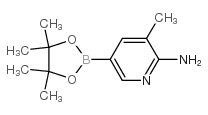 3-甲基-5-(4,4,5,5-四甲基-1,3,2-二氧硼杂环戊烷-2-基)吡啶-2-胺结构式