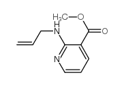 3-Pyridinecarboxylicacid,2-(2-propenylamino)-,methylester(9CI)结构式