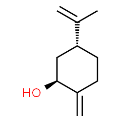 (E)-isocarveol结构式