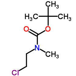 (2-氯乙基)(甲基)氨基甲酸叔丁酯结构式