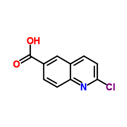 2-氯喹啉-6-羧酸结构式