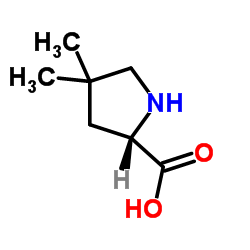 (S)-4,4-二甲基-吡咯烷-2-羧酸结构式