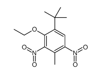 1-tert-butyl-2-ethoxy-4-methyl-3,5-dinitrobenzene结构式