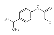2-氯-N-(4-异丙基苯基)乙酰胺结构式