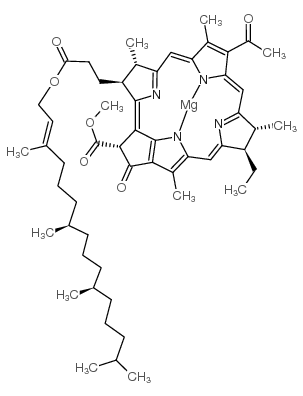 17499-98-8 structure