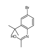 N-(4-bromo-2-tert-butylphenyl)acetamide Structure